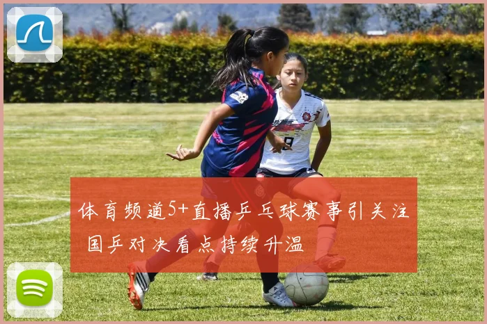 体育频道5+直播乒乓球赛事引关注 国乒对决看点持续升温