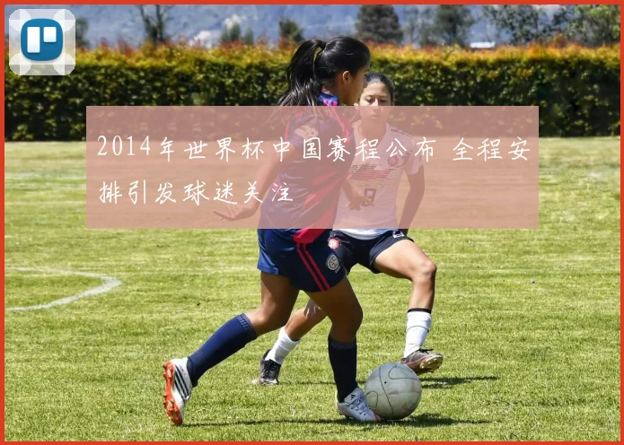 2014年世界杯中国赛程公布 全程安排引发球迷关注