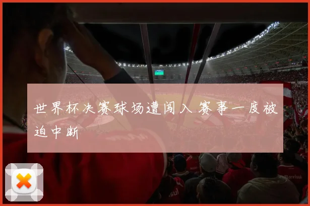 世界杯决赛球场遭闯入 赛事一度被迫中断